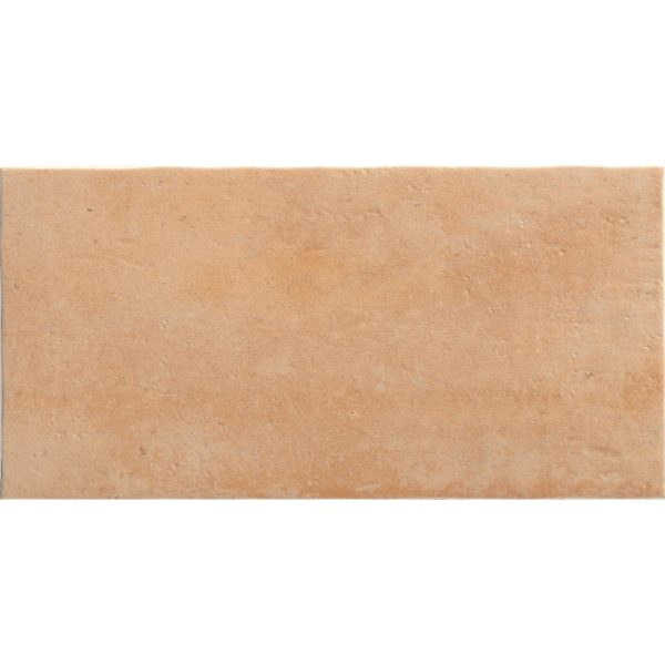 Pz. Natucer zocalo 9x45 argile verona (bisbal natural c3)
