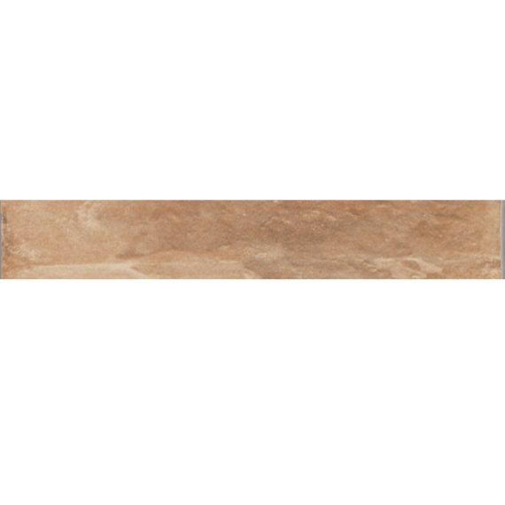 Pz.Natucer zocalo 9x36 g07 boston east (occitania est)