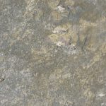 M2. Terradecor 19×57 onix