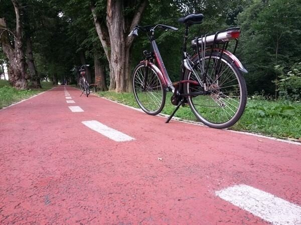 Coridor de deplasare cu bicicleta sub arini