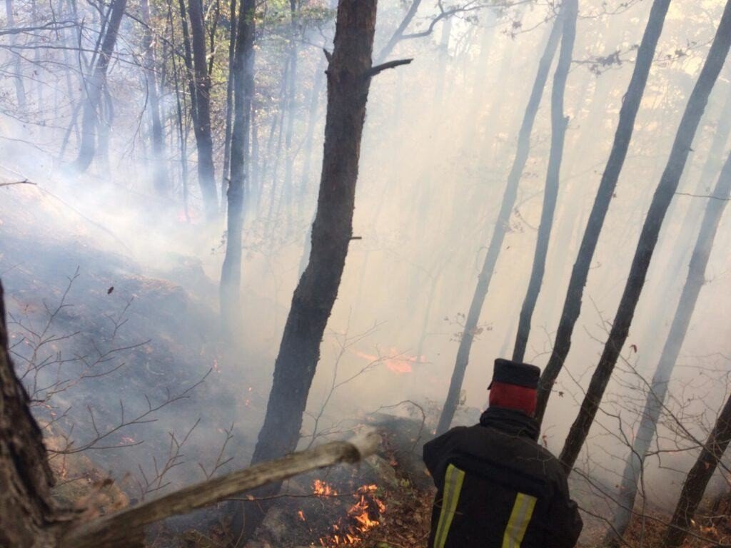 VIDEO-FOTO: INCENDIU în zona pădurii Măgura