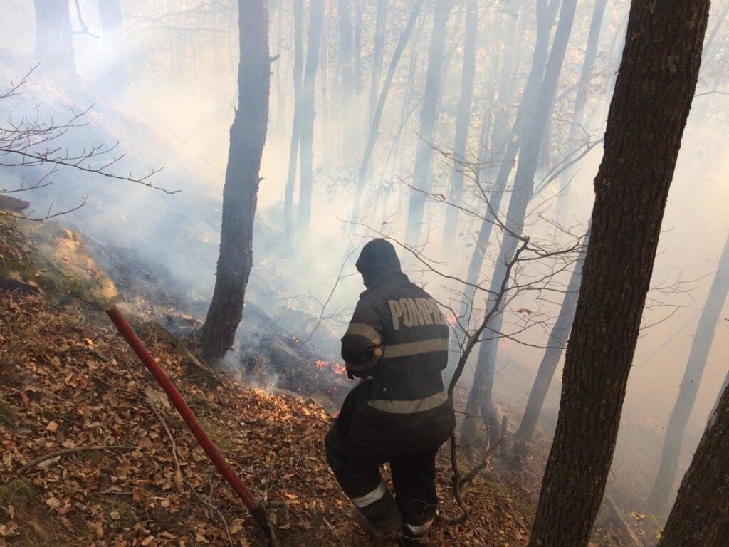 VIDEO-FOTO: INCENDIU în zona pădurii Măgura