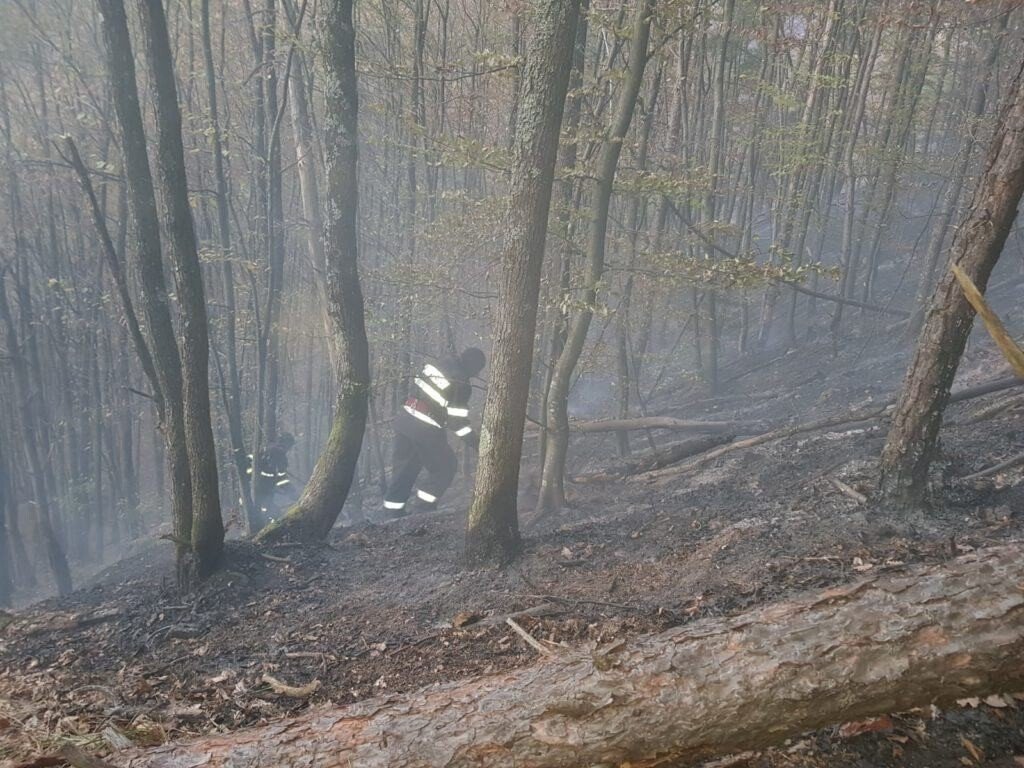 VIDEO-FOTO: INCENDIU în zona pădurii Măgura