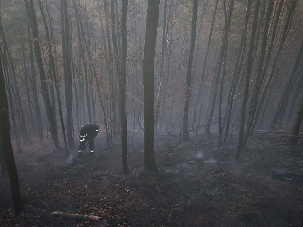 VIDEO-FOTO: INCENDIU în zona pădurii Măgura