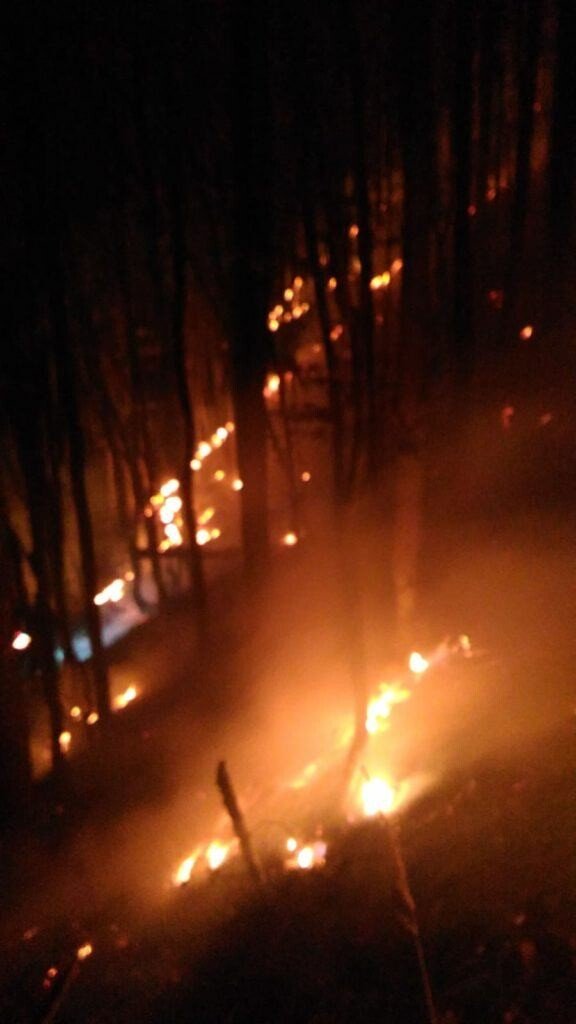 VIDEO-FOTO: INCENDIU în zona pădurii Măgura