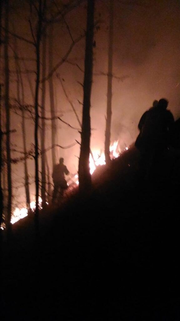 VIDEO-FOTO: INCENDIU în zona pădurii Măgura