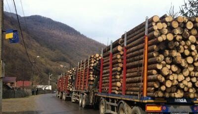 masini cu lemne activenews