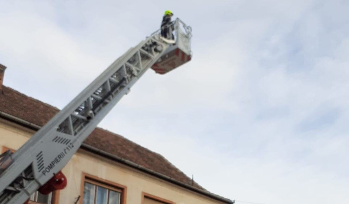 WhatsApp Image    at