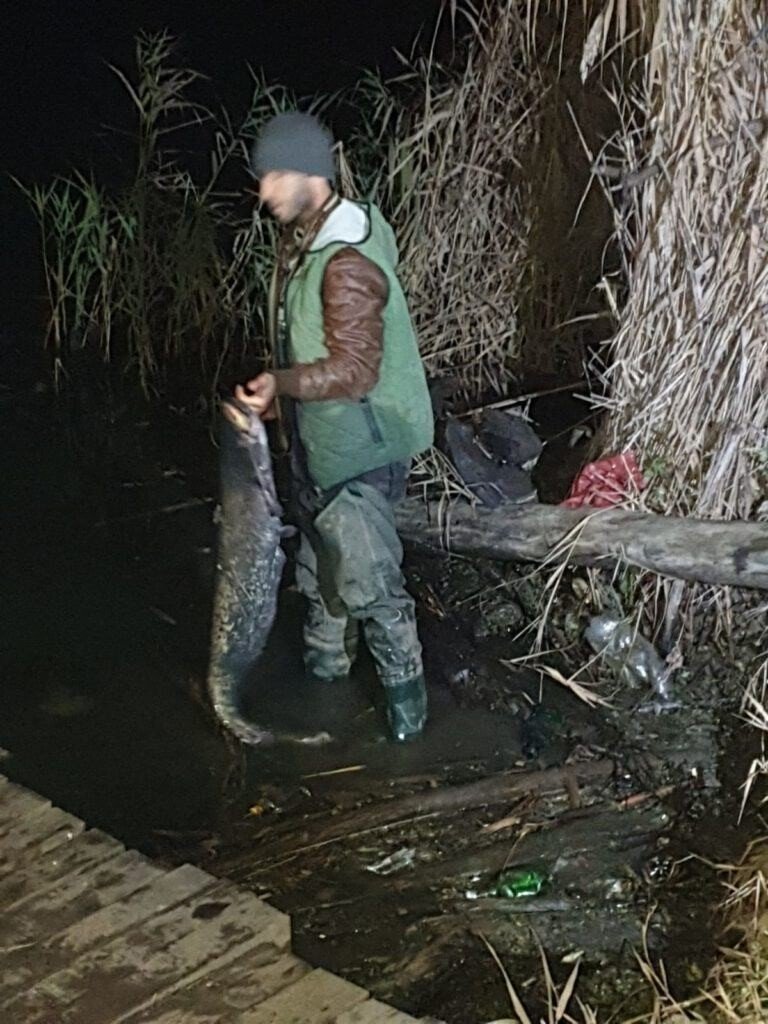 FOTO-VIDEO: Braconieri prinși cu plase de pescuit pe râul Olt