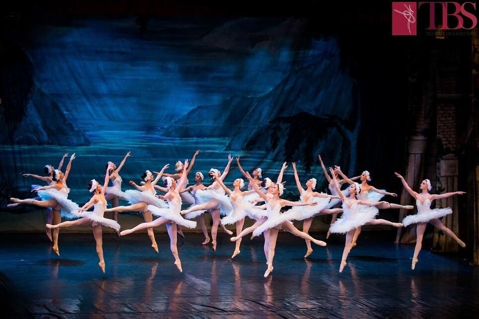 Lacul_Lebedelor_matineu_2015_TBS-5.jpg Lacul Lebedelor matineu TBS