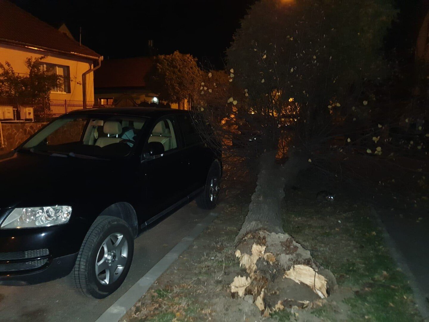 copac cazut strada strungului sibiu