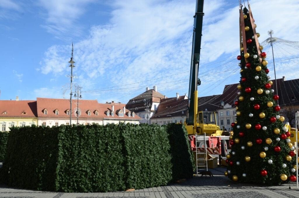 VIDEO-FOTO: Se montează bradul de Crăciun din Piața Mare. Reacțiile la cald ale sibienilor