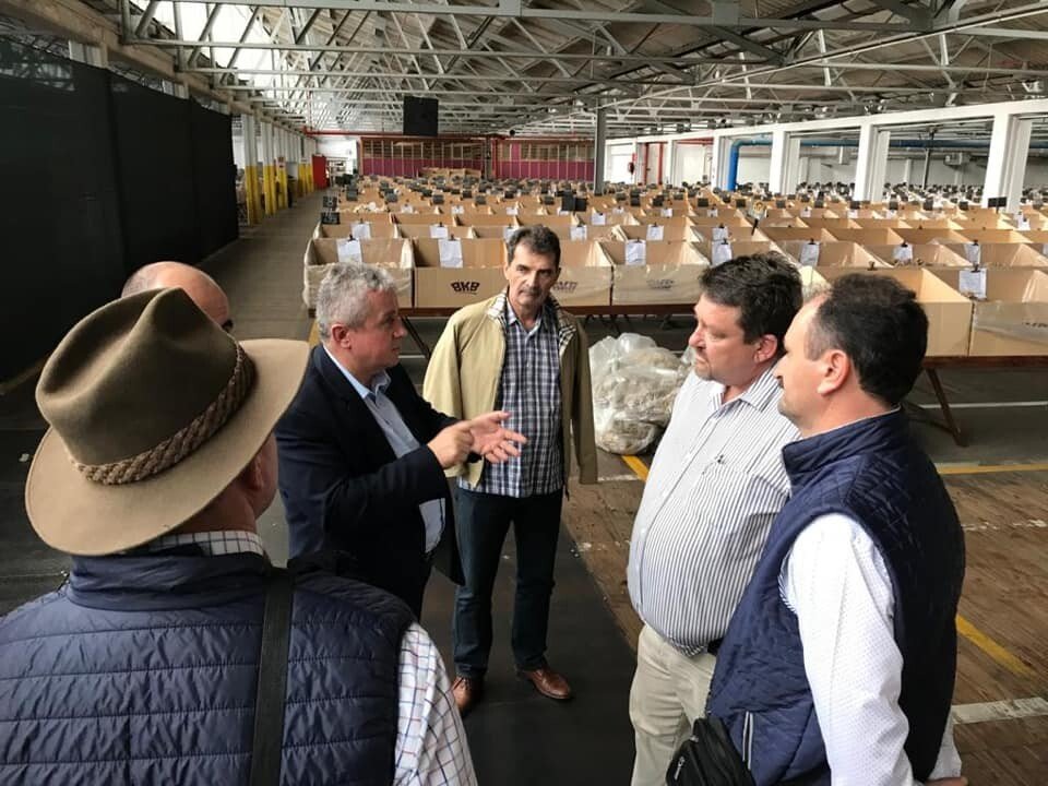 Marcel Luca Africa Marcel Luca Africa