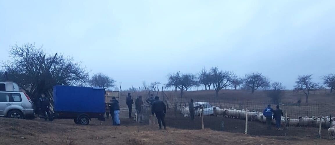 repatriere-oite repatriere oite