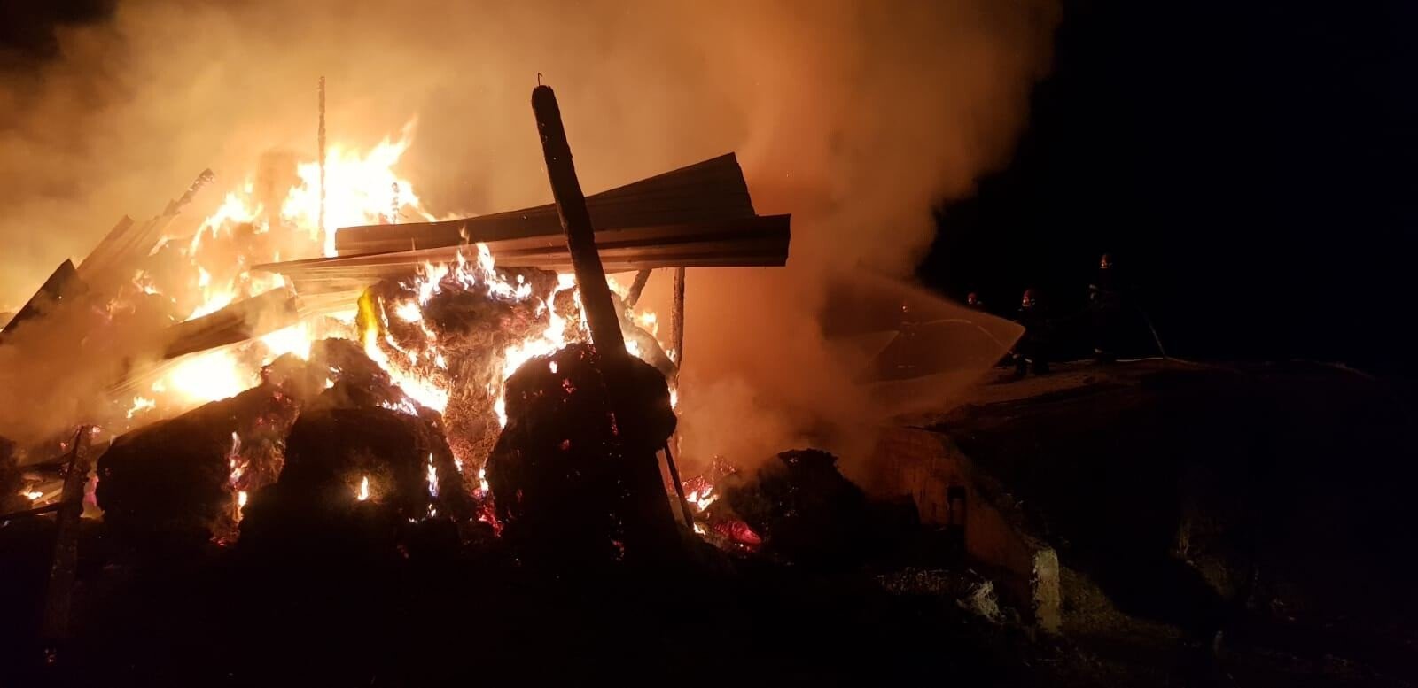 WhatsApp Image    at