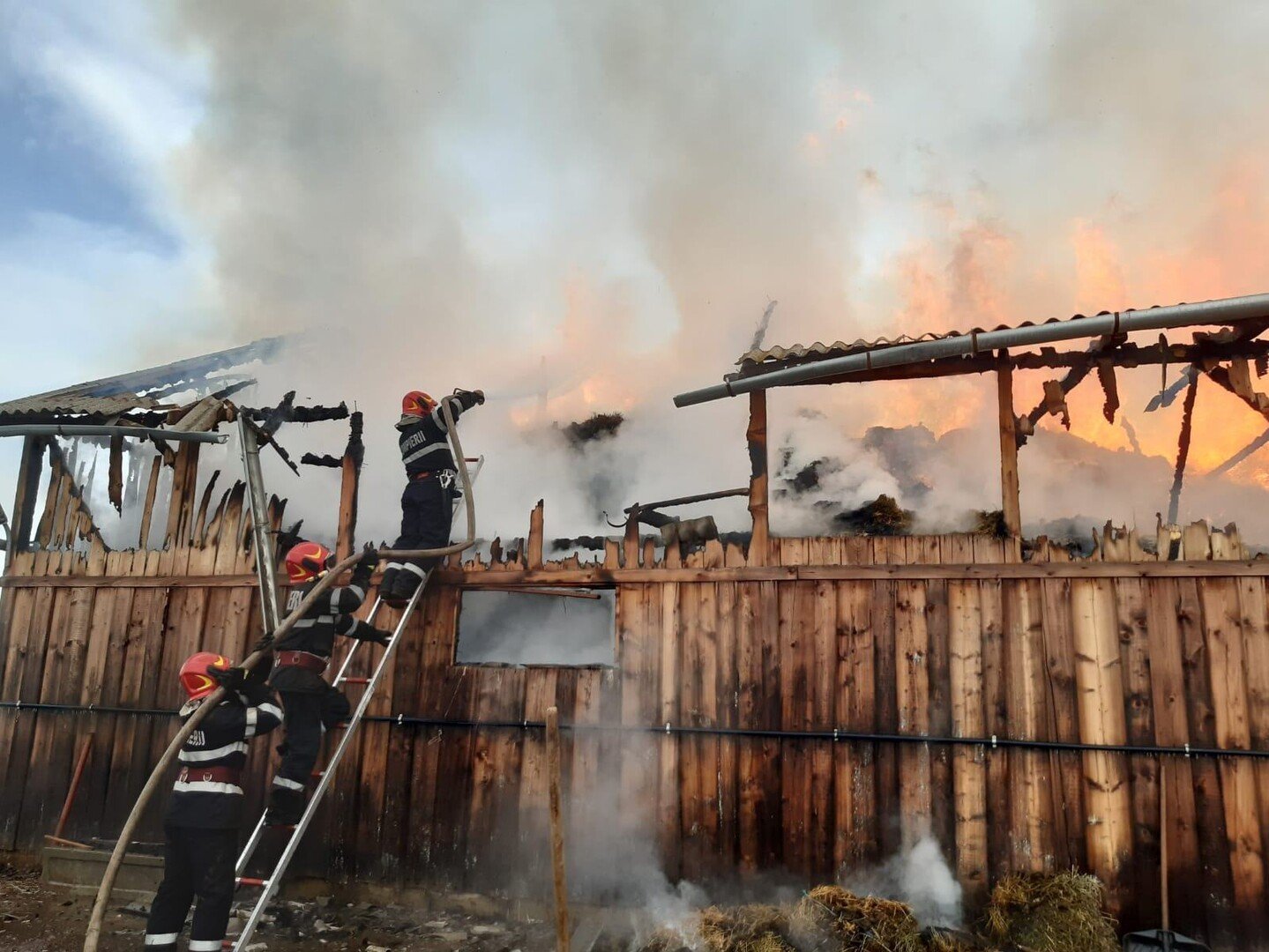 Incendiu Bungard IMG WA