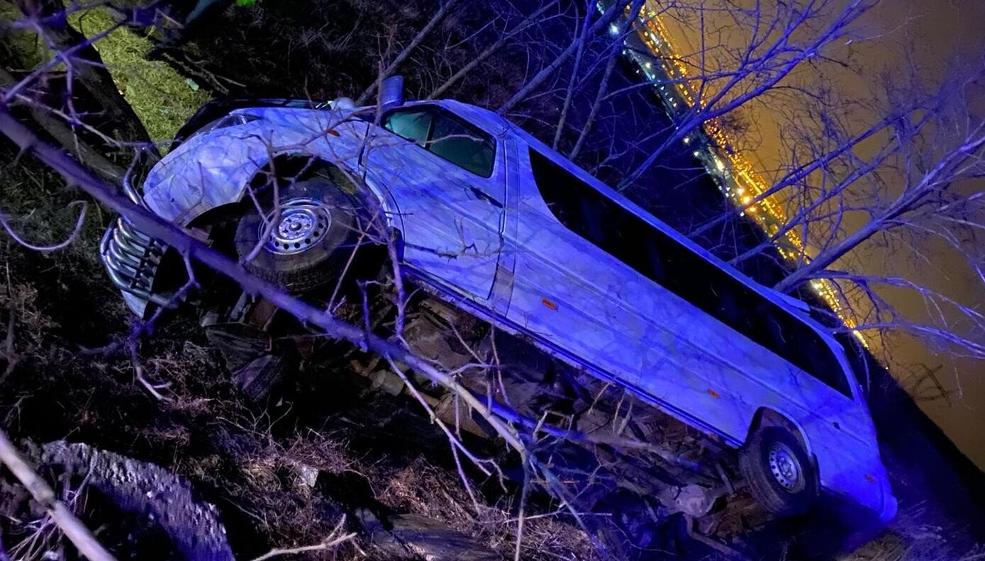 WhatsApp Image 2020-02-19 at 20.48.32 WhatsApp Image at