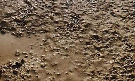 84049415_662482677829804_8620168172466601984_n n