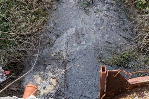 selimbar poluare 2 selimbar poluare