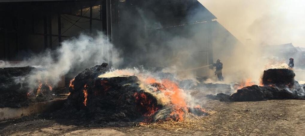 WhatsApp Image    at