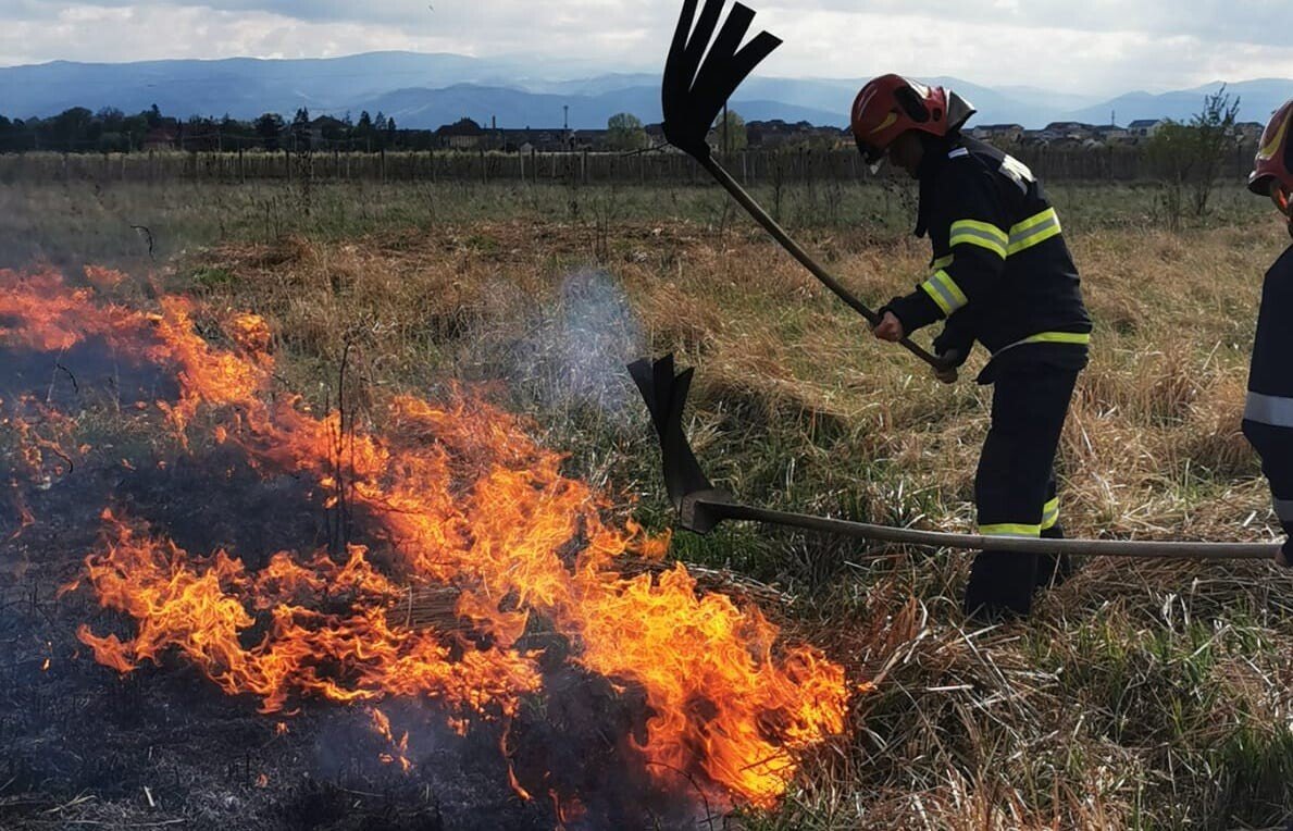 WhatsApp Image 2020-04-30 at 20.02.10 WhatsApp Image at