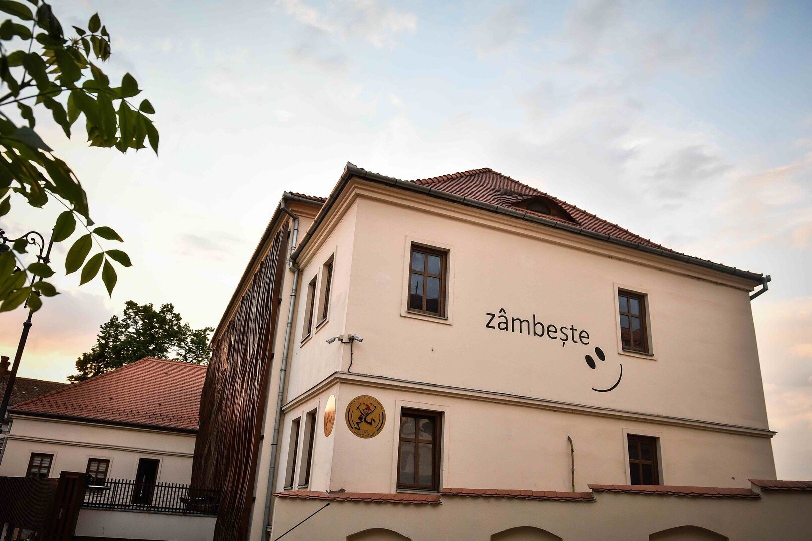 foto gong zambeste dragos dumitru scaled