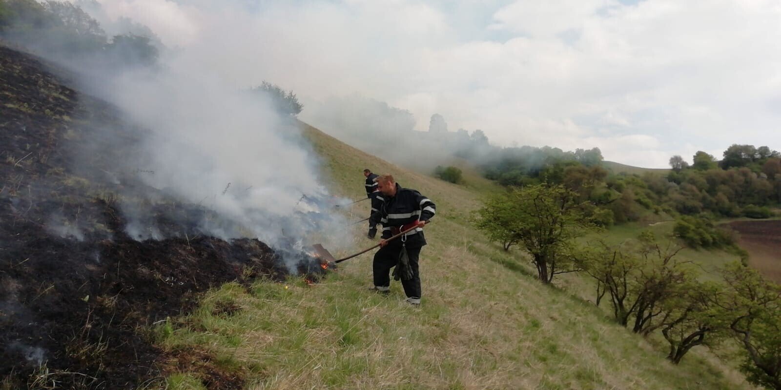 WhatsApp Image    at