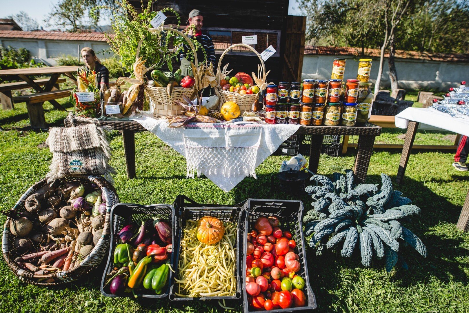 copyright Gabriela Cuzepan scaled