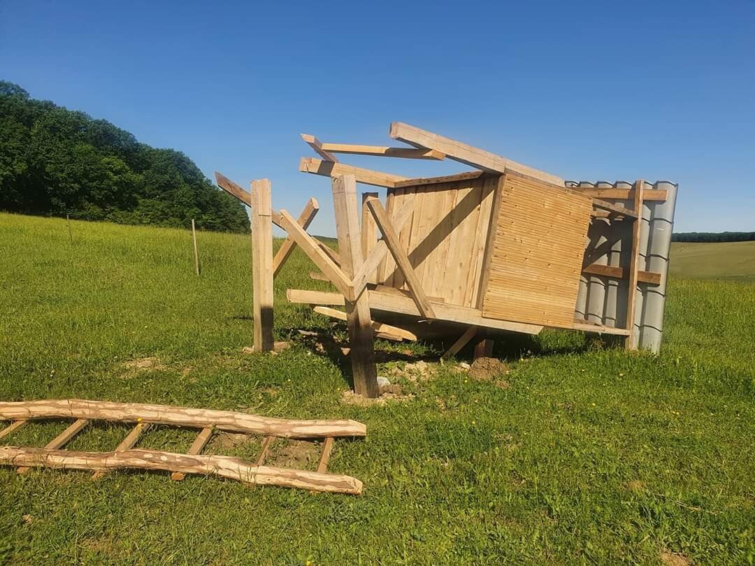 Observator vânătoresc FB IMG