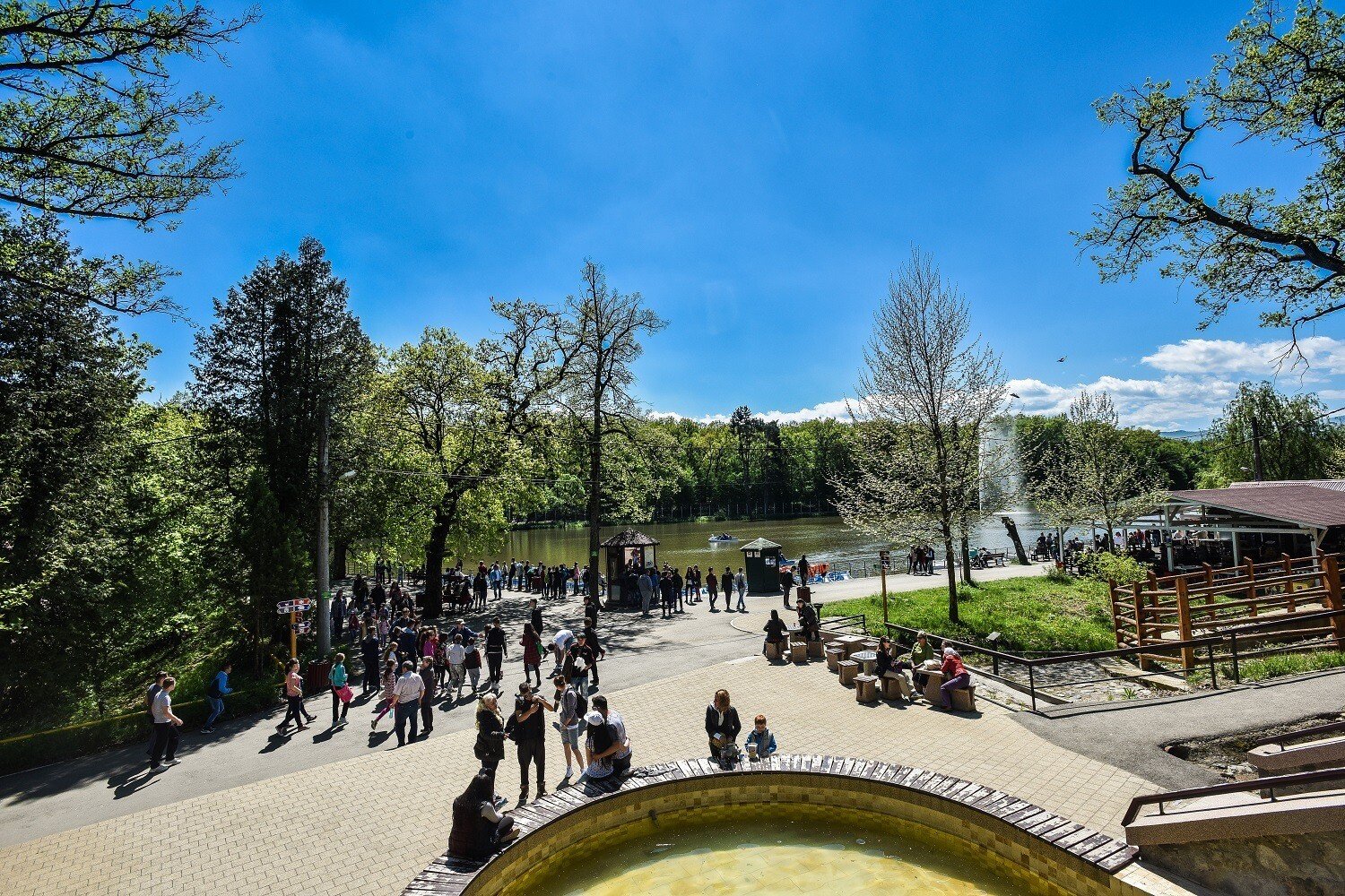 zoo-vara_foto-Silvana-Armat-73.jpg zoo vara foto Silvana Armat