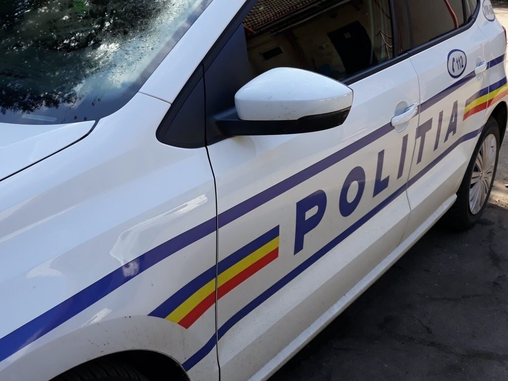 politie politist echipaj