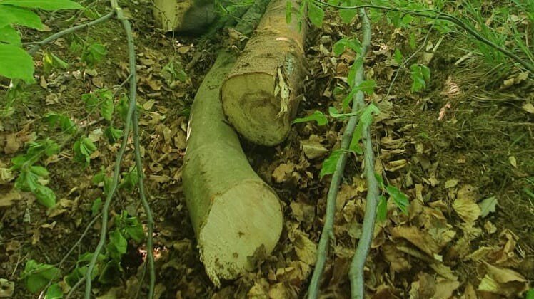 WhatsApp Image 2020-05-14 at 09.11.47 (1) WhatsApp Image at