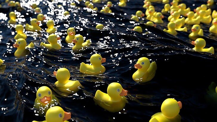 rubber duck race plastic wallpaper preview