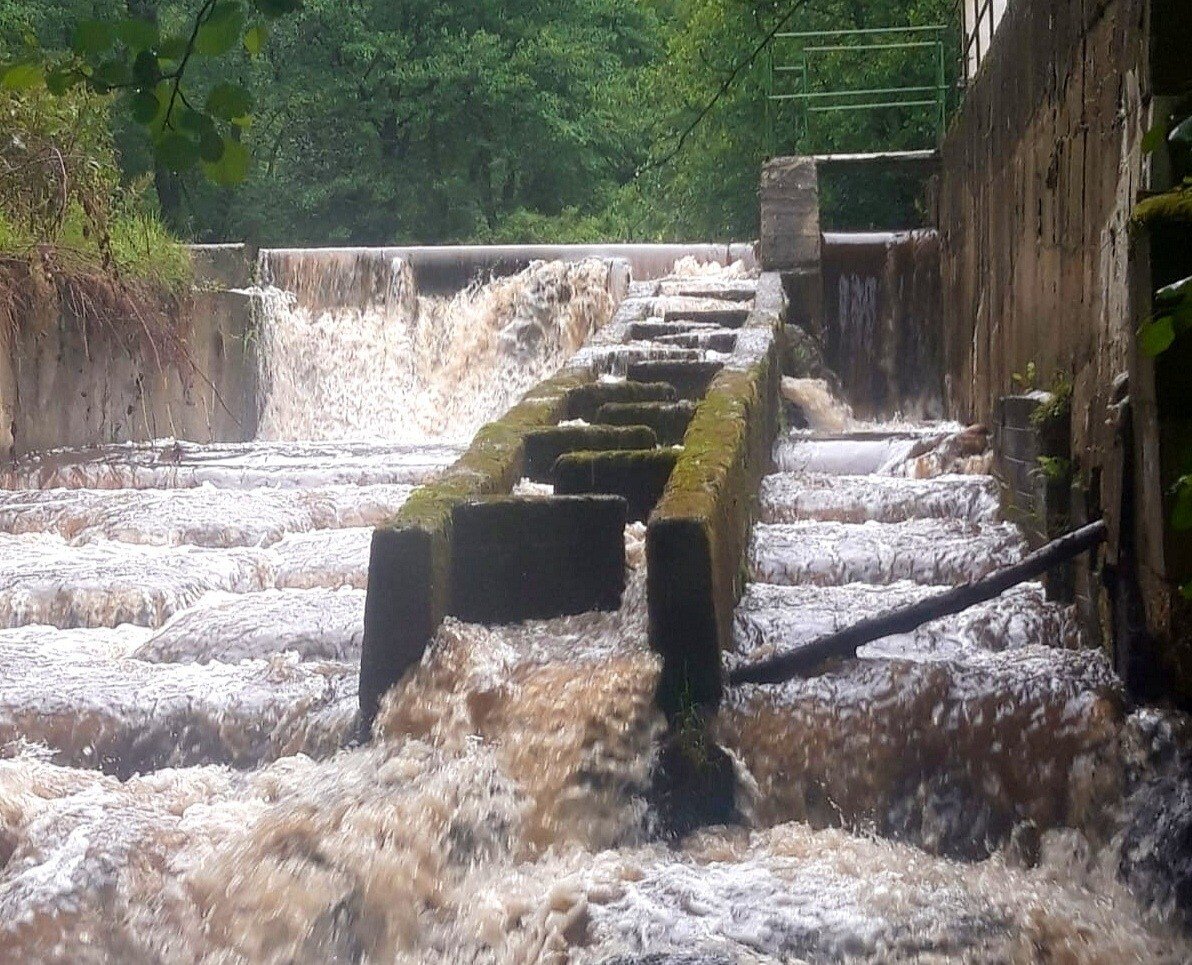 IMG_20200613_102431.jpg IMG