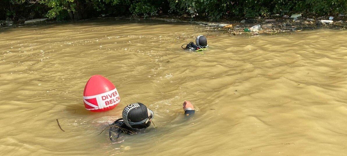 IMG_20200702_130324.jpg IMG