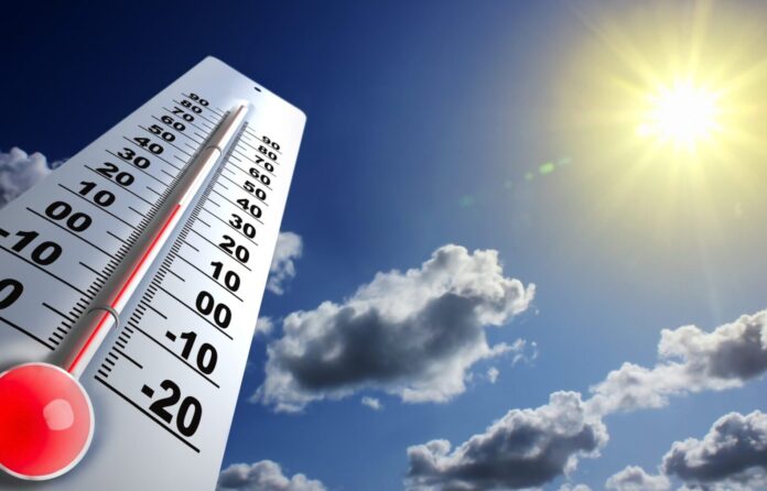 recomandări caniculă scaled