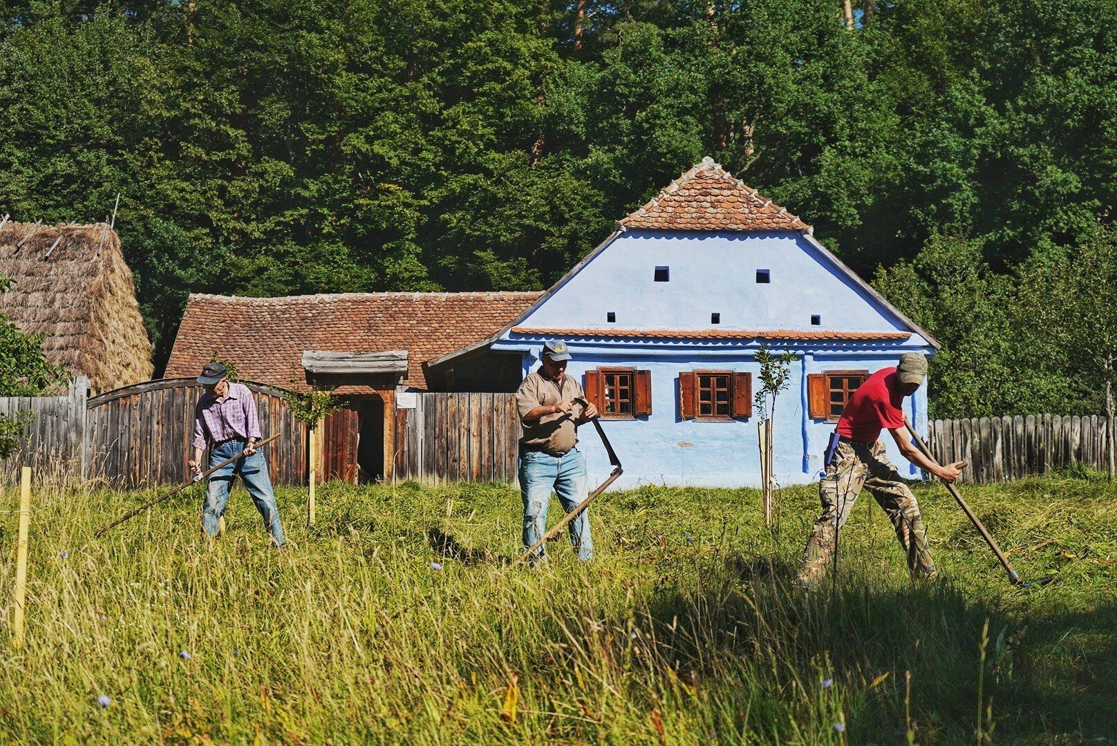 Muzeul ASTRA_cosit 2020 (1) Muzeul ASTRA cosit