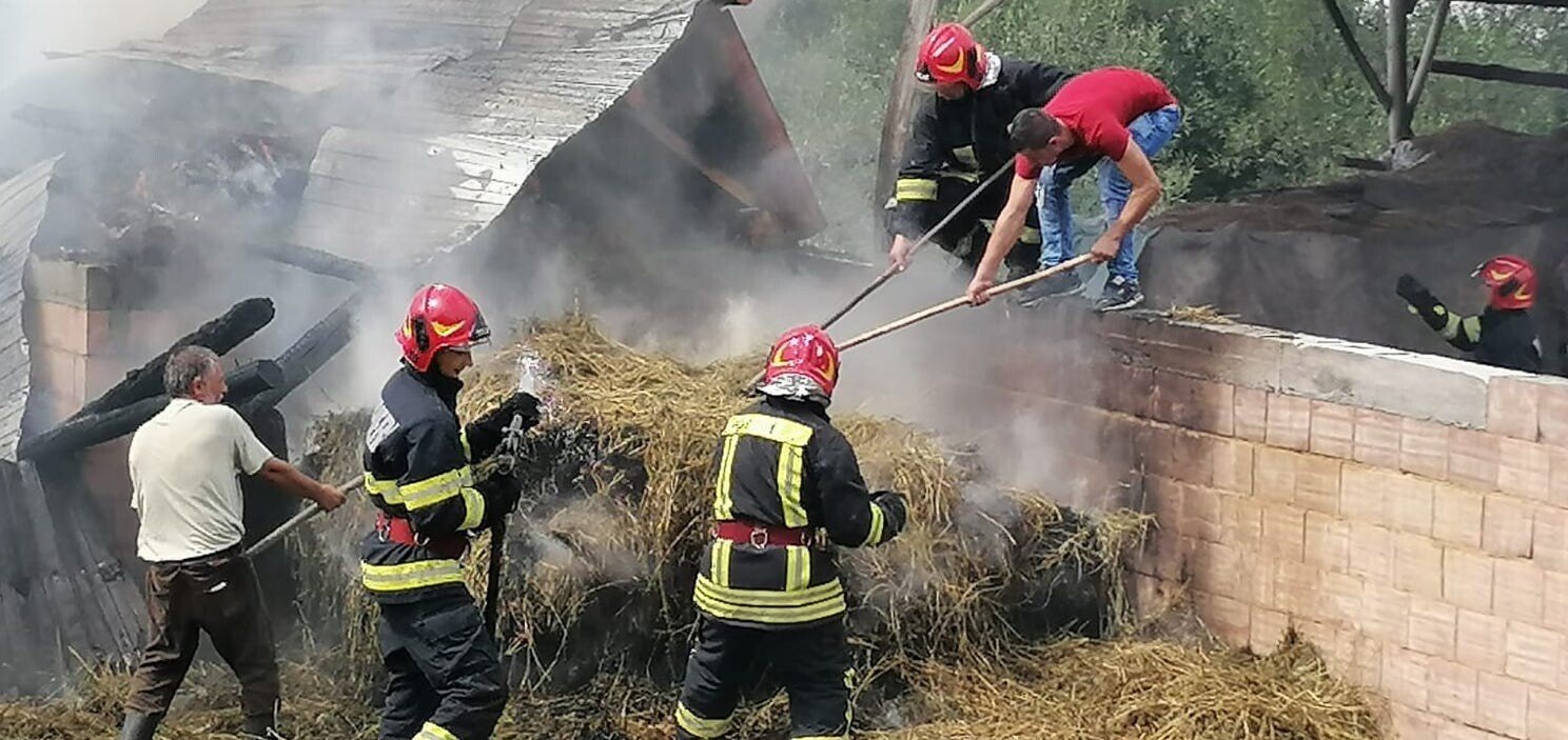 WhatsApp Image    at