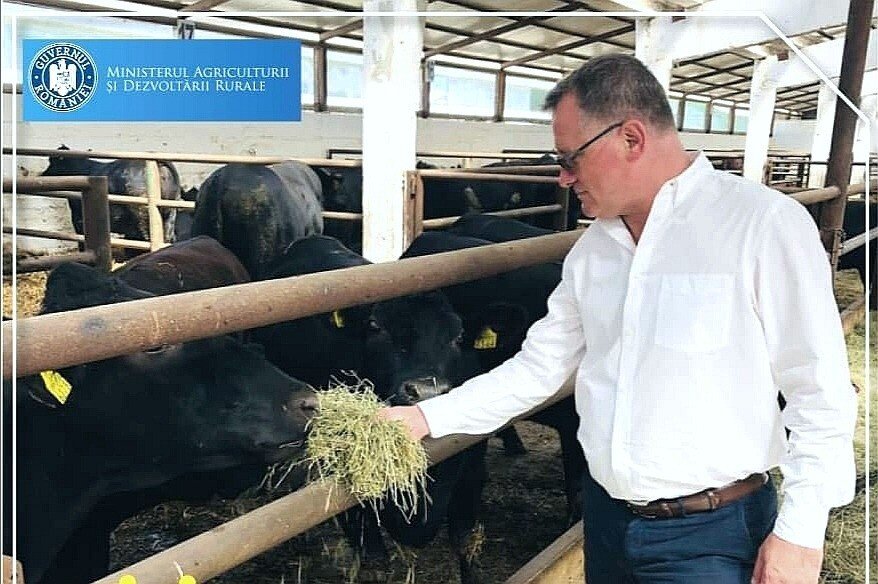 IMG_20200821_112741.jpg IMG