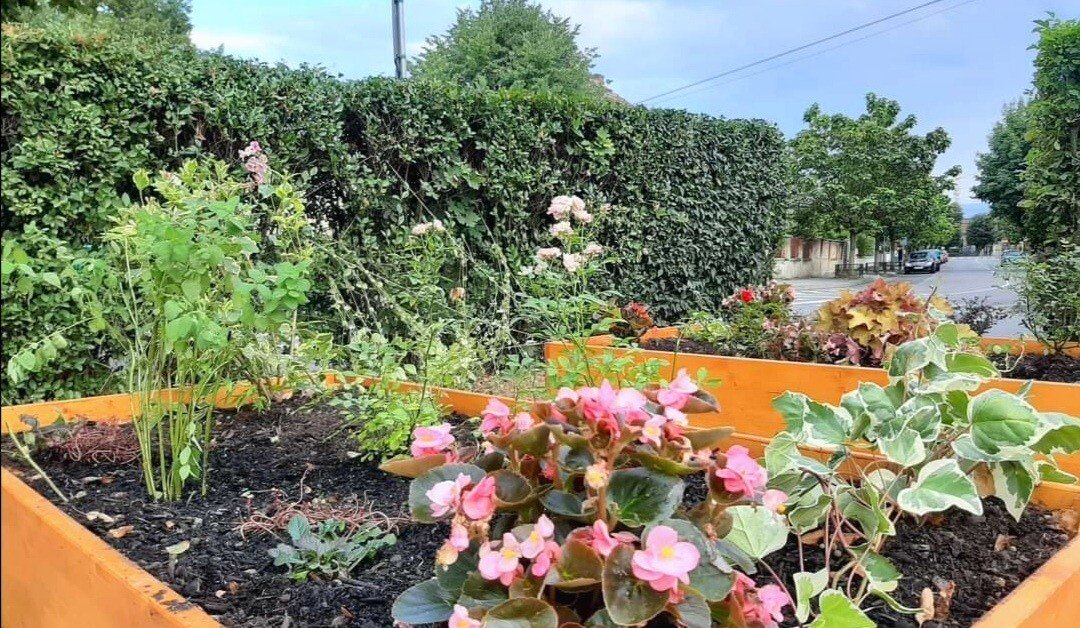 IMG_20200818_115509.jpg IMG