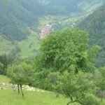 Peisaj panoramic al satului Râu Sadului și a dealurilor înconjurătoare
