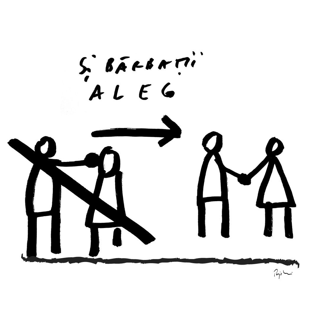 vizualuri dan perjovschi