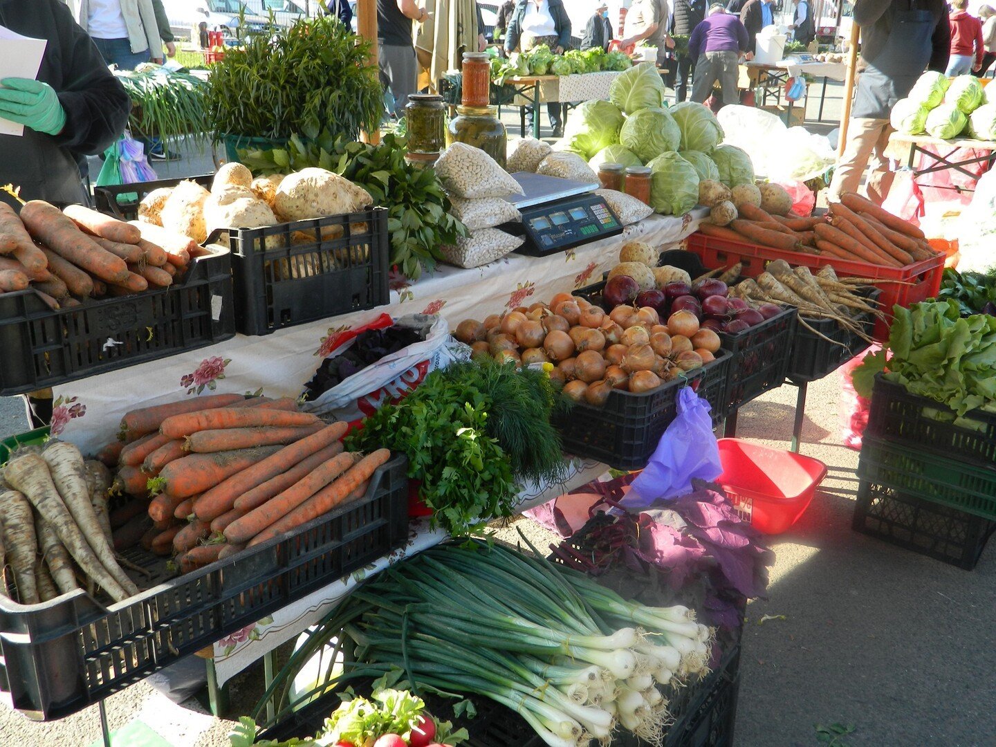 1 OnouăselecțiededosarepentruproducătoriicarevorvindeînPiațaTransilvaniadelaIANUARIE