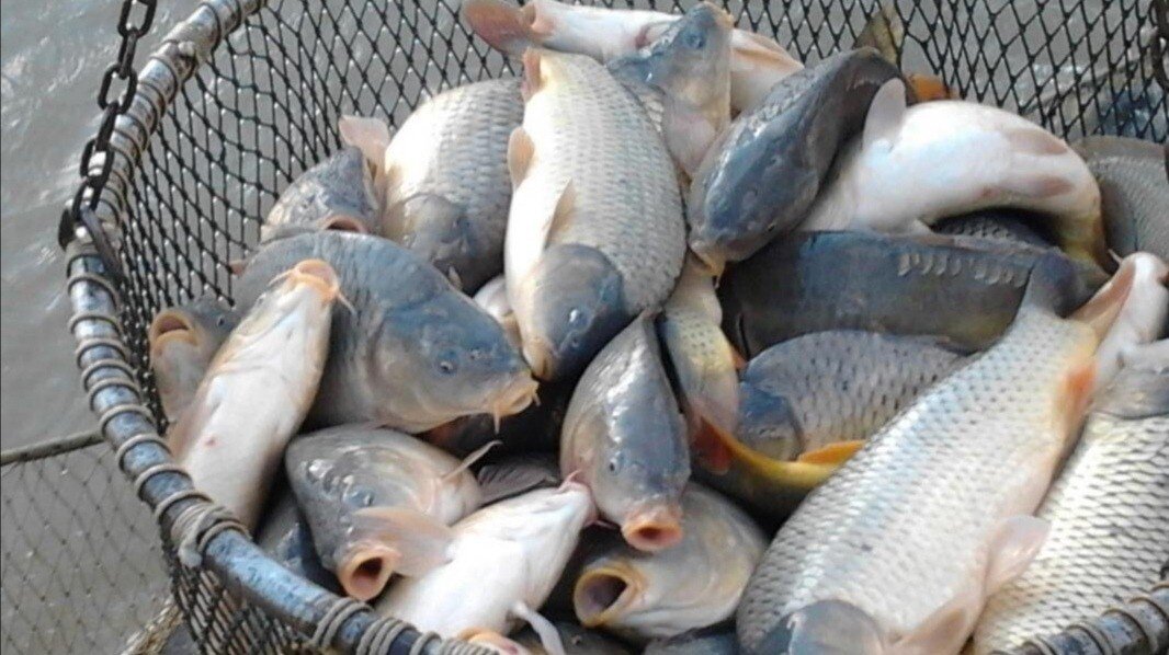 IMG_20201112_104417.jpg IMG