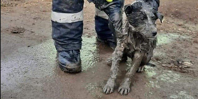 IMG_20201210_171848.jpg IMG