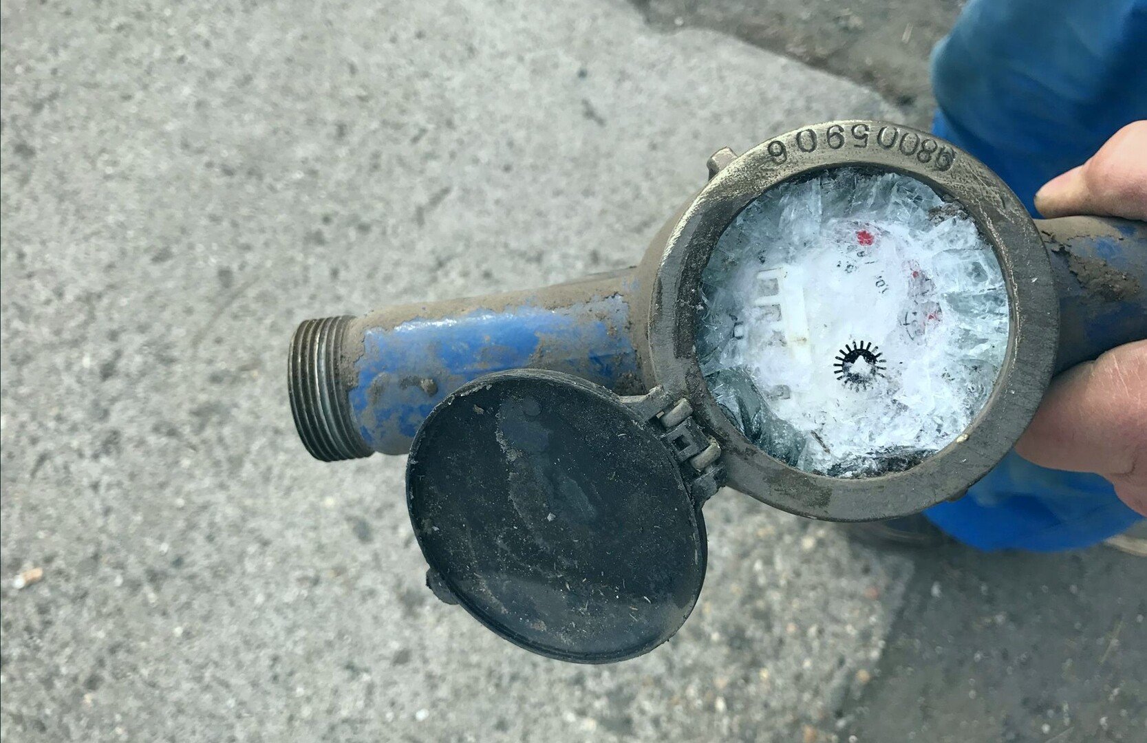 IMG_20201204_100656.jpg IMG