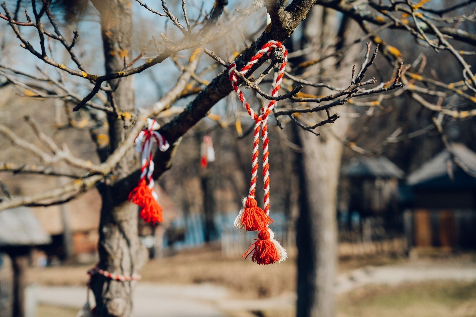 Pomul gandurilor bune