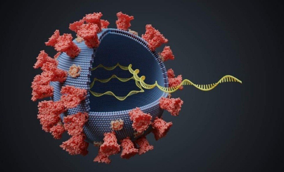 Screenshot_20210226_110921.jpg Screenshot