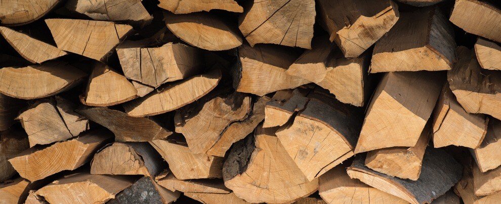 lemne de foc shutterstock