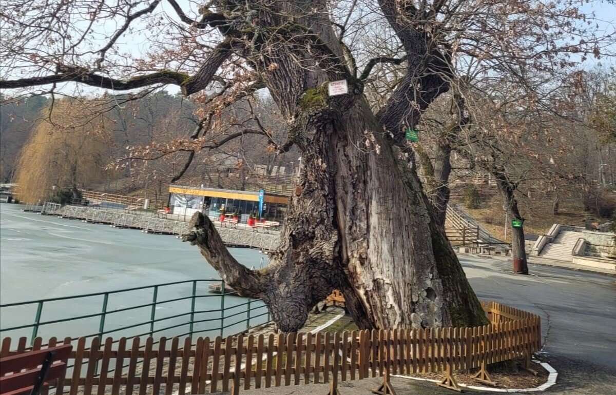 IMG_20210316_123328.jpg IMG